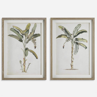 Uttermost Banana Palm Framed Prints, Set/2 (85|41446)