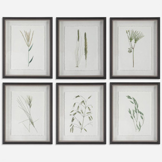 Uttermost Forest Finds Framed Prints, S/6 (85|41459)