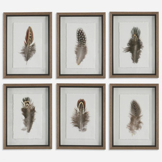 Uttermost Birds Of A Feather Framed Prints, S/6 (85|41460)