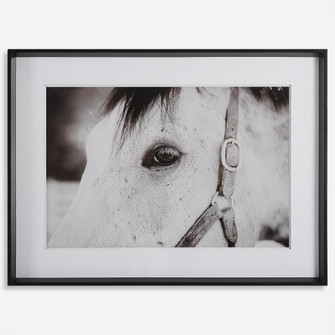 Uttermost Eye Of The Beholder Framed Print (85|41463)