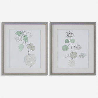 Come What May Framed Prints, S/2 (85|41467)
