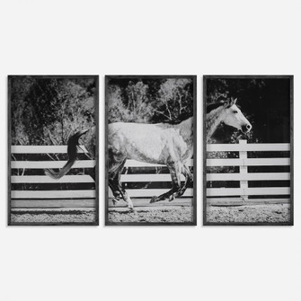 Uttermost Galloping Forward Equine Prints, Set/3 (85|32279)