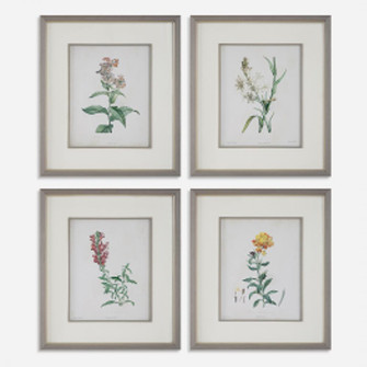 Uttermost Heirloom Blooms Study Framed Prints Set/4 (85|32285)
