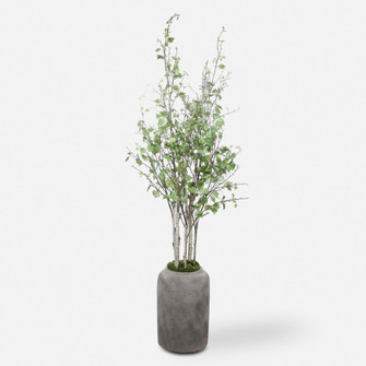 Uttermost Aldis Potted River Birch (85|60146)