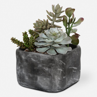 Uttermost Alverio Desert Garden Succulents (85|60173)