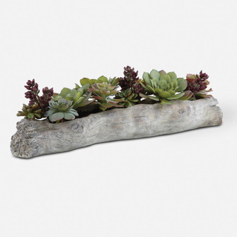 Uttermost Charita Lush Succulents (85|60174)