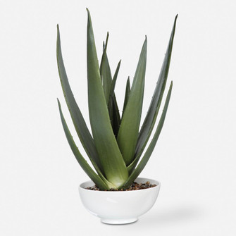 Uttermost Evarado Aloe Planter (85|60177)