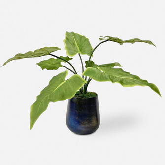 Uttermost Mari Calla Accent Plant (85|60179)