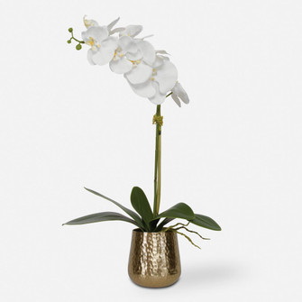 Uttermost Cami Orchid With Brass Pot (85|60189)