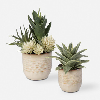 Uttermost Seaside Succulents, Set/2 (85|60208)
