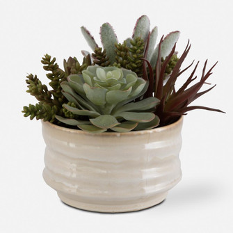 Uttermost Mesa Succulent Accent (85|60209)