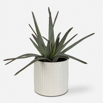 Uttermost Taos Aloe Centerpiece (85|60210)