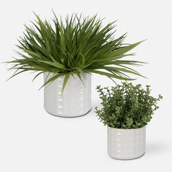 Uttermost Edgewood Greenery, Set/2 (85|60211)