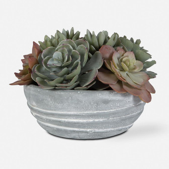 Uttermost Peoria Succulent Accent (85|60212)