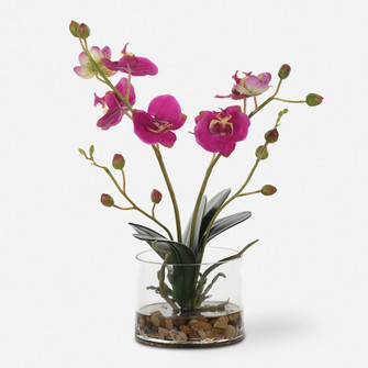 Uttermost Glory Fuchsia Orchid (85|60220)