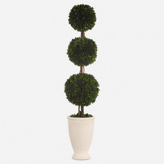 Uttermost Preserved Boxwood Triple Topiary (85|60223)