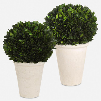 Uttermost Preserved Boxwood Domes Set/2 (85|60224)