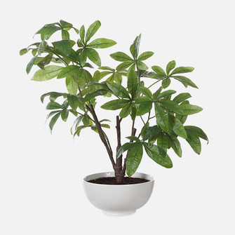 Uttermost Pachira Money Tree (85|60225)