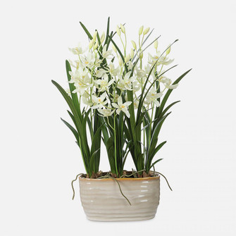 Uttermost Ariana Orchid Planter (85|60227)