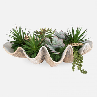 Uttermost Seaside Breeze Succulents (85|60233)