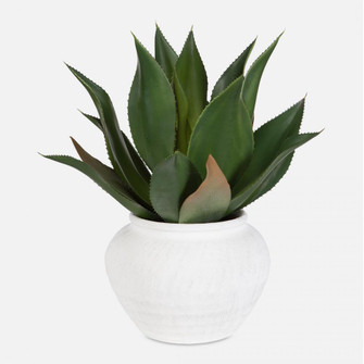 Uttermost Tierra Agave Centerpiece With Vase (85|60235)