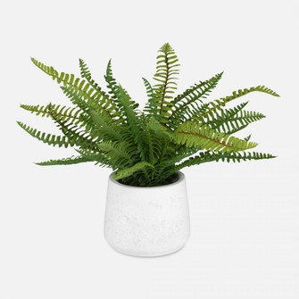 Uttermost Boston Fern In White Ceramic Pot (85|60238)