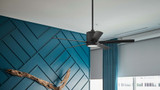 Ceiling Fans for the Winter: What You Need to Know