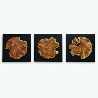 Uttermost Kolini Teak Wood Wall Decor, S/3 (85|04336)